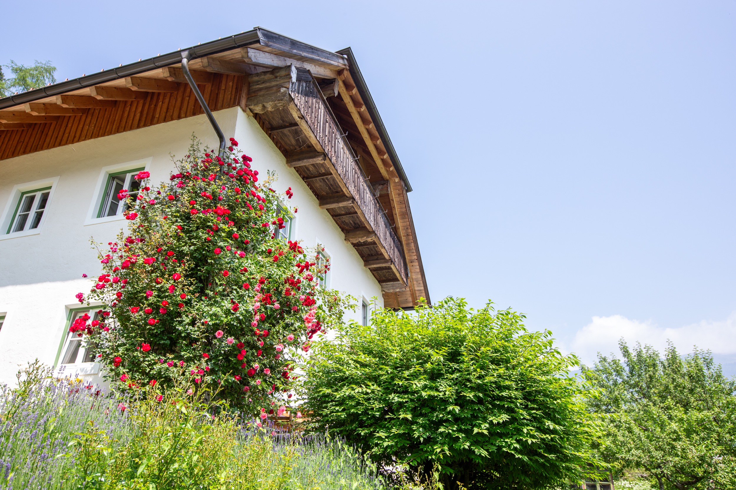 forsthaus stein im drautal